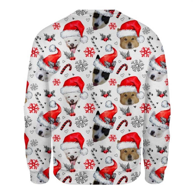 Canaan Dog - Xmas Decor - Premium Sweatshirt
