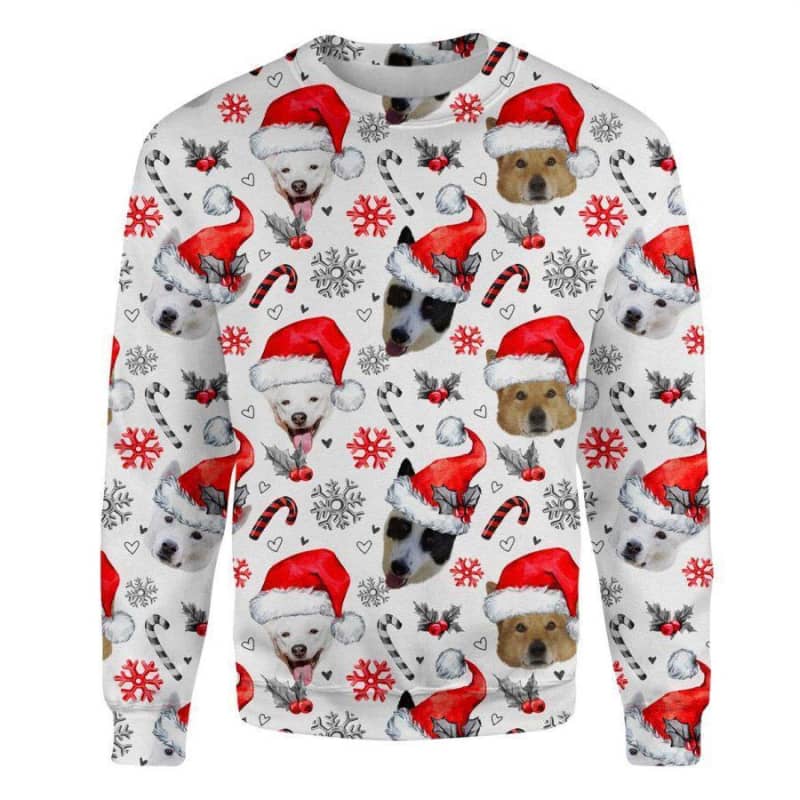Canaan Dog - Xmas Decor - Premium Sweatshirt