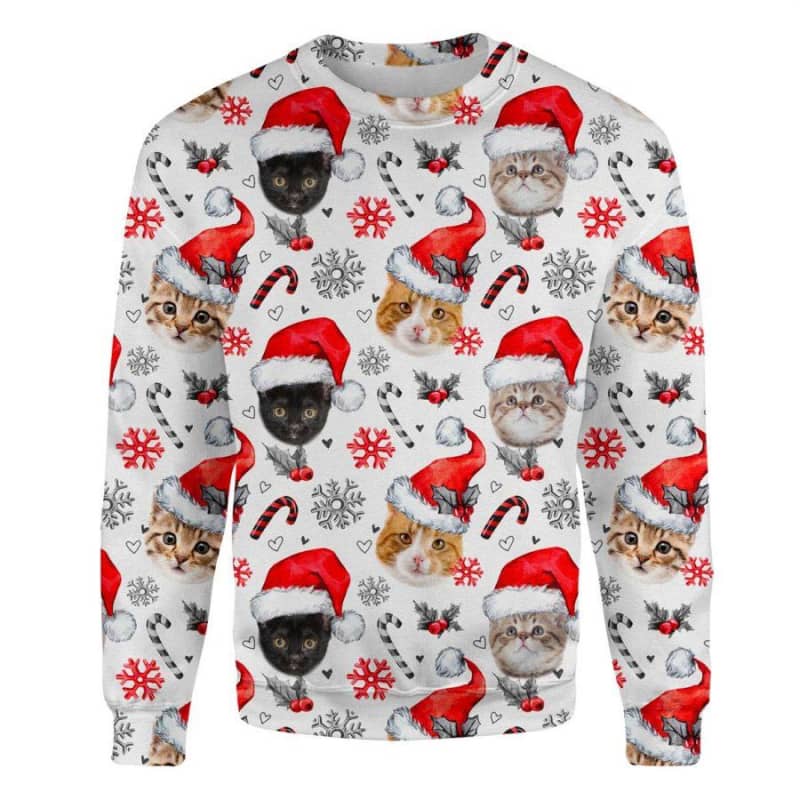 Cat - Xmas Decor - Premium Sweatshirt