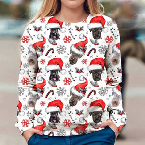 Cesky Terrier - Xmas Decor - Premium Sweatshirt