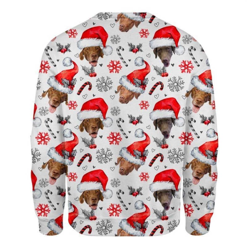 Chesapeake Bay Retriever - Xmas Decor - Premium Sweatshirt