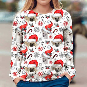 Chinese Crested Dog - Xmas Decor - Premium Sweatshirt