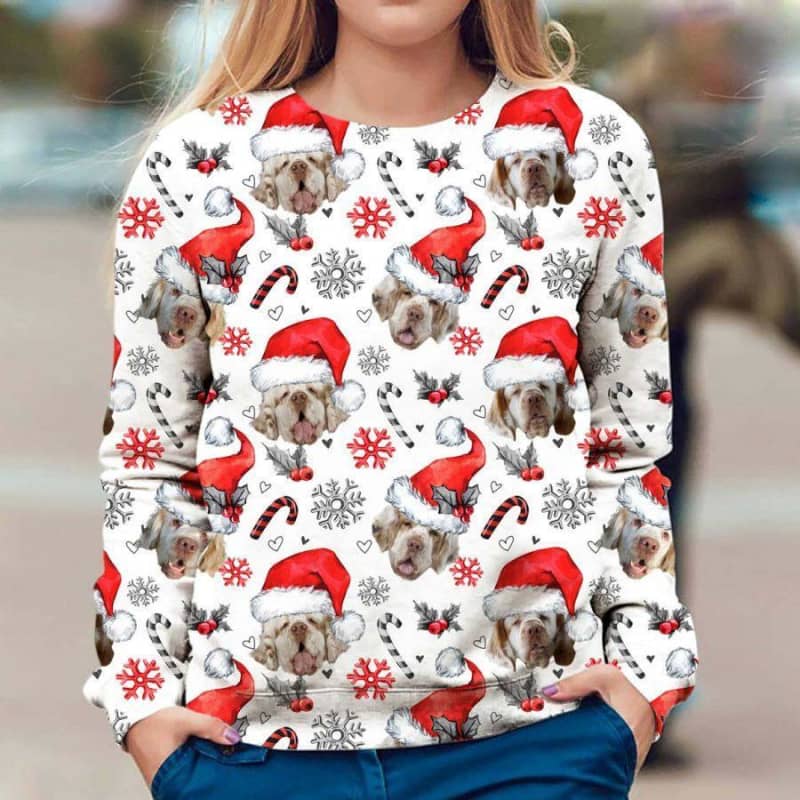Clumber Spaniel - Xmas Decor - Premium Sweatshirt
