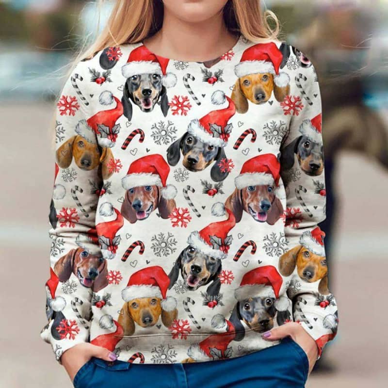 Dachshund - Xmas Decor - Premium Sweatshirt