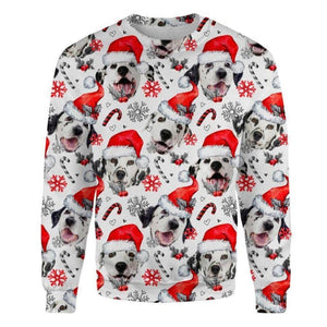 Dalmatian - Xmas Decor - Premium Sweatshirt
