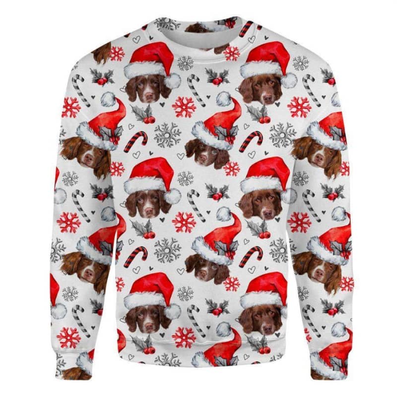 Drentse Patrijshond - Xmas Decor - Premium Sweatshirt