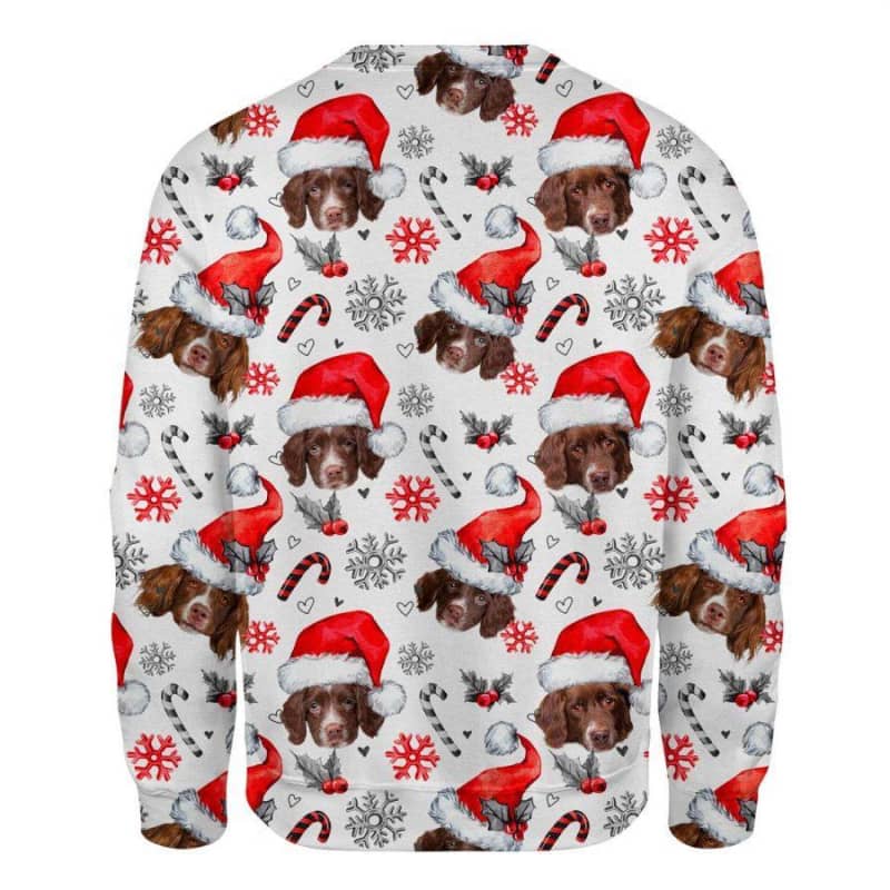 Drentse Patrijshond - Xmas Decor - Premium Sweatshirt
