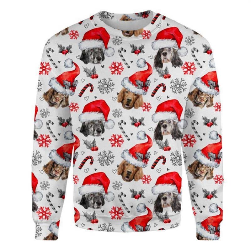 English Setter - Xmas Decor - Premium Sweatshirt