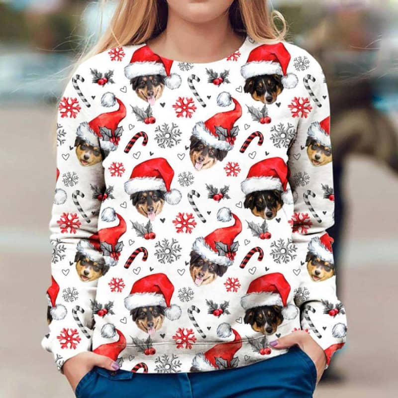 English Shepherd - Xmas Decor - Premium Sweatshirt