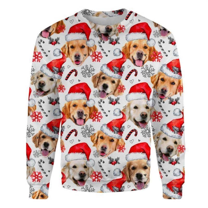 Golden Retriever - Xmas Decor - Premium Sweatshirt