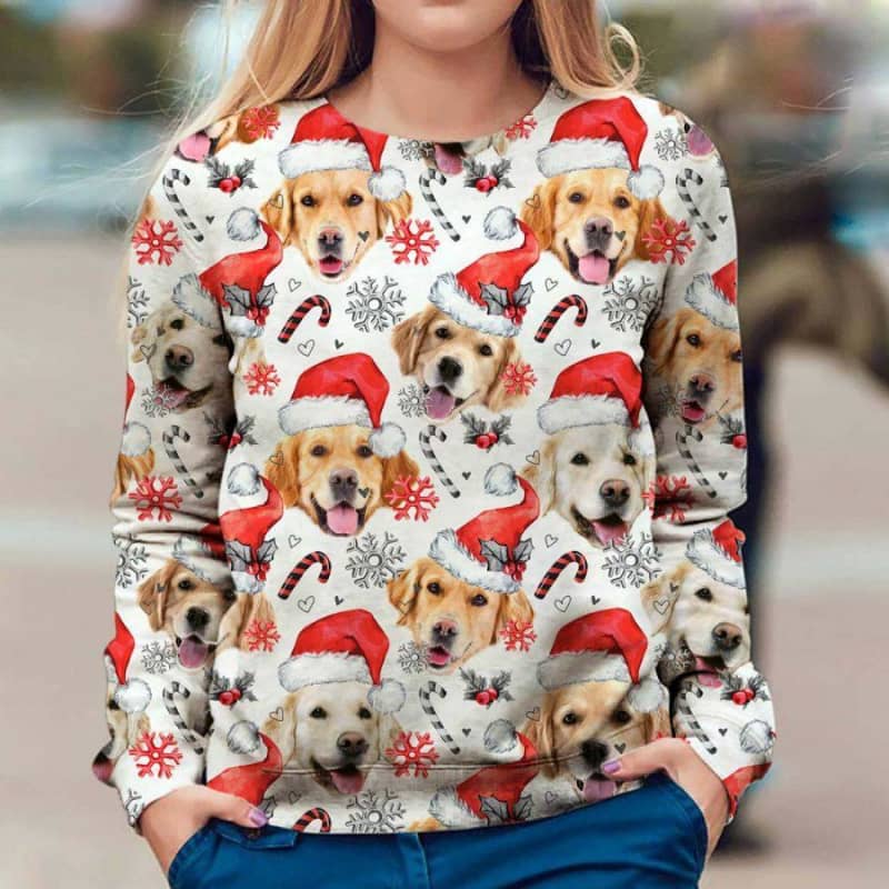 Golden Retriever - Xmas Decor - Premium Sweatshirt