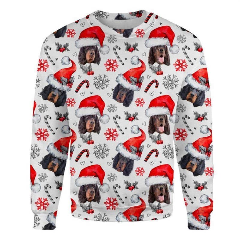 Gordon Setter - Xmas Decor - Premium Sweatshirt