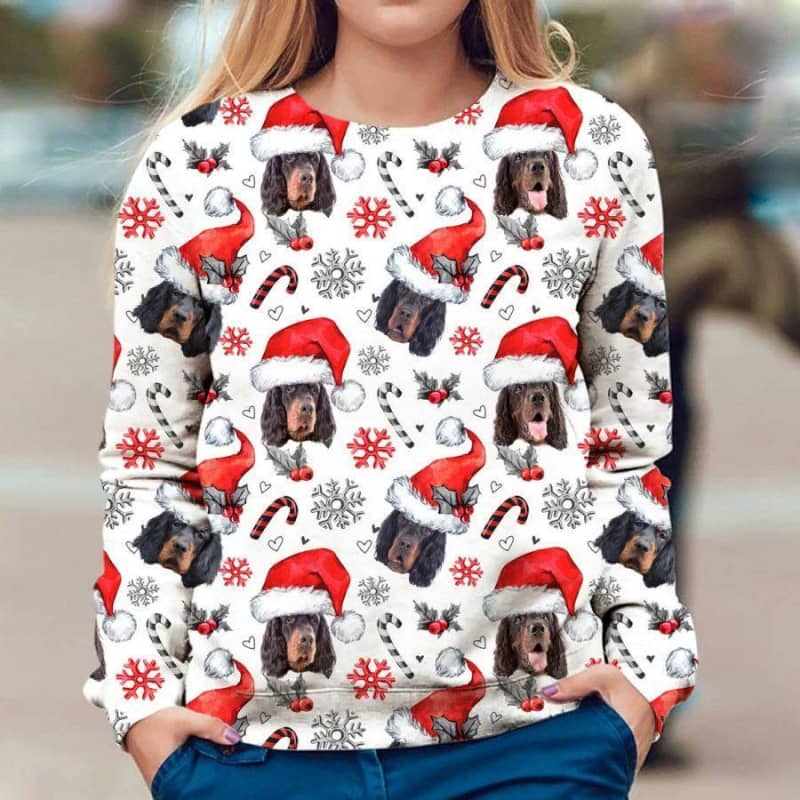 Gordon Setter - Xmas Decor - Premium Sweatshirt
