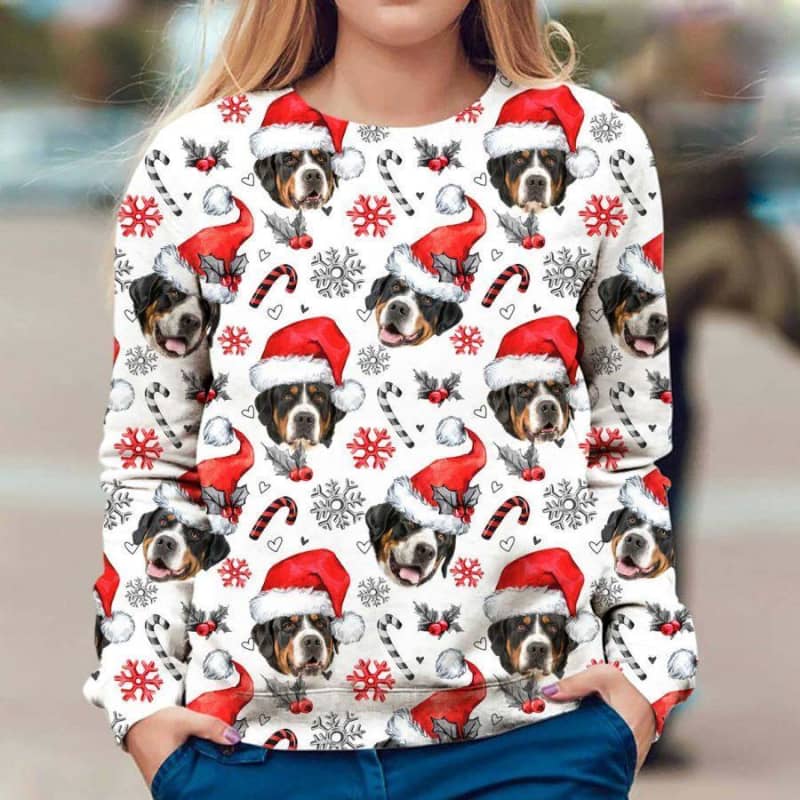 Greater Swiss Mountain Dog - Xmas Decor - Premium Sweatshirt
