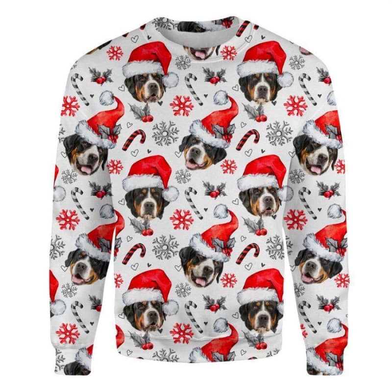 Greater Swiss Mountain Dog - Xmas Decor - Premium Sweatshirt