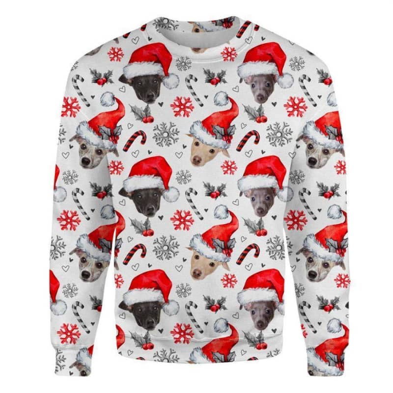Greyhound - Xmas Decor - Premium Sweatshirt