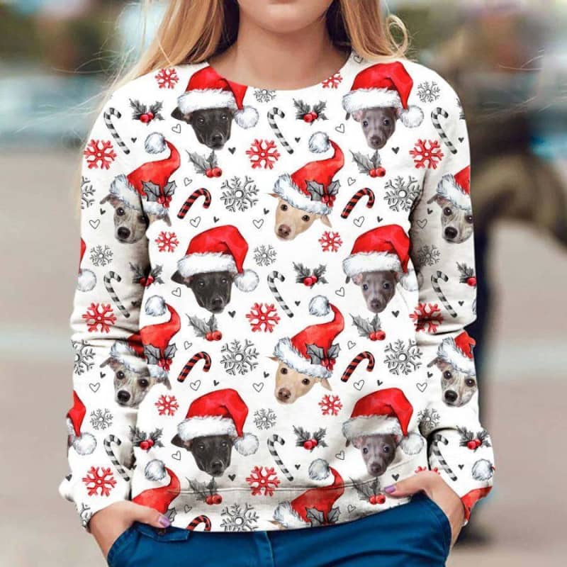 Greyhound - Xmas Decor - Premium Sweatshirt