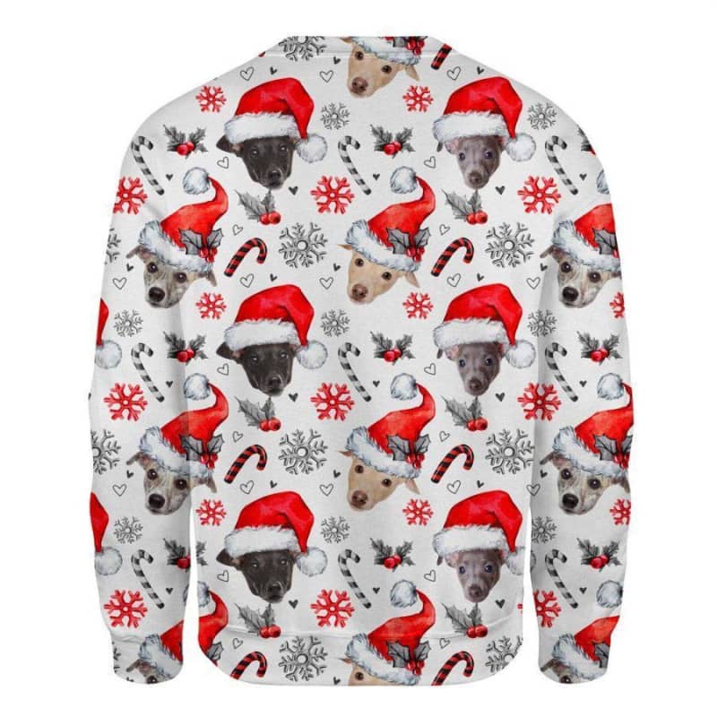 Greyhound - Xmas Decor - Premium Sweatshirt