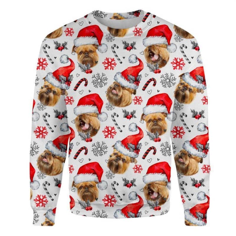 Griffon Bruxellois - Xmas Decor - Premium Sweatshirt