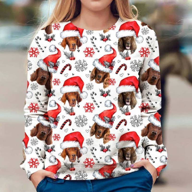 Irish Setter - Xmas Decor - Premium Sweatshirt