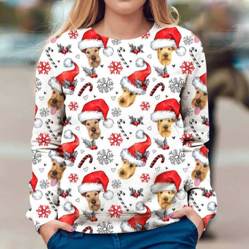 Irish Terrier - Xmas Decor - Premium Sweatshirt