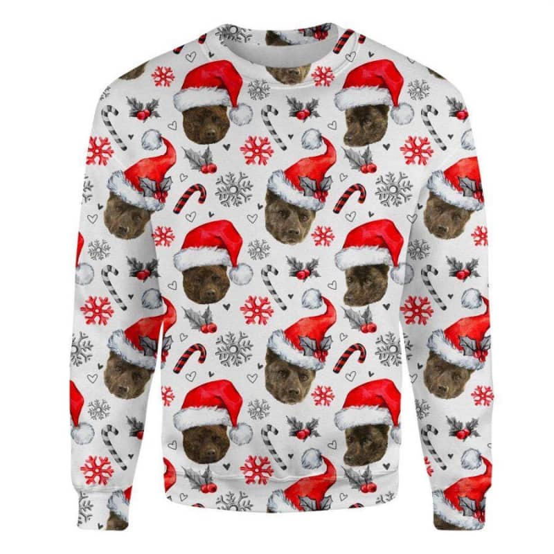 Kai Ken - Xmas Decor - Premium Sweatshirt