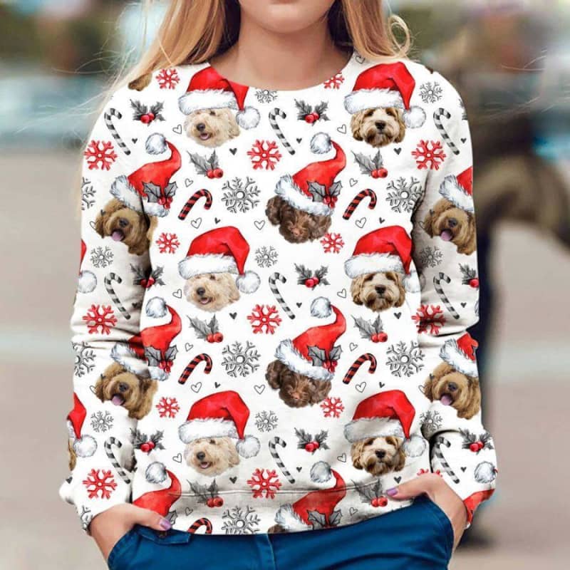 Labradoodle - Xmas Decor - Premium Sweatshirt