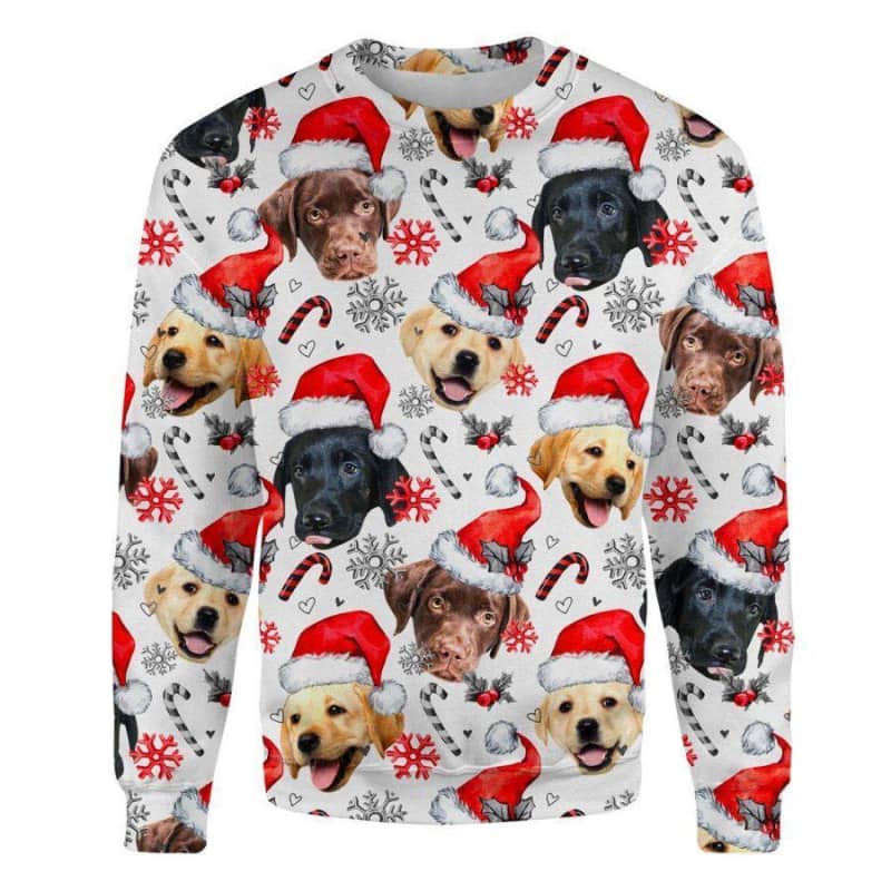 Labrador Retriever - Xmas Decor - Premium Sweatshirt