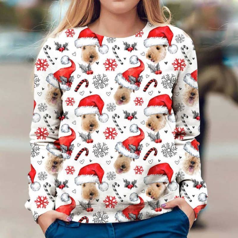 Lakeland Terrier - Xmas Decor - Premium Sweatshirt