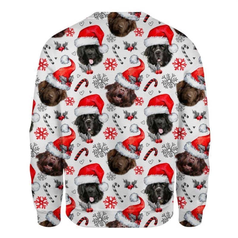 Newfoundland - Xmas Decor - Premium Sweatshirt