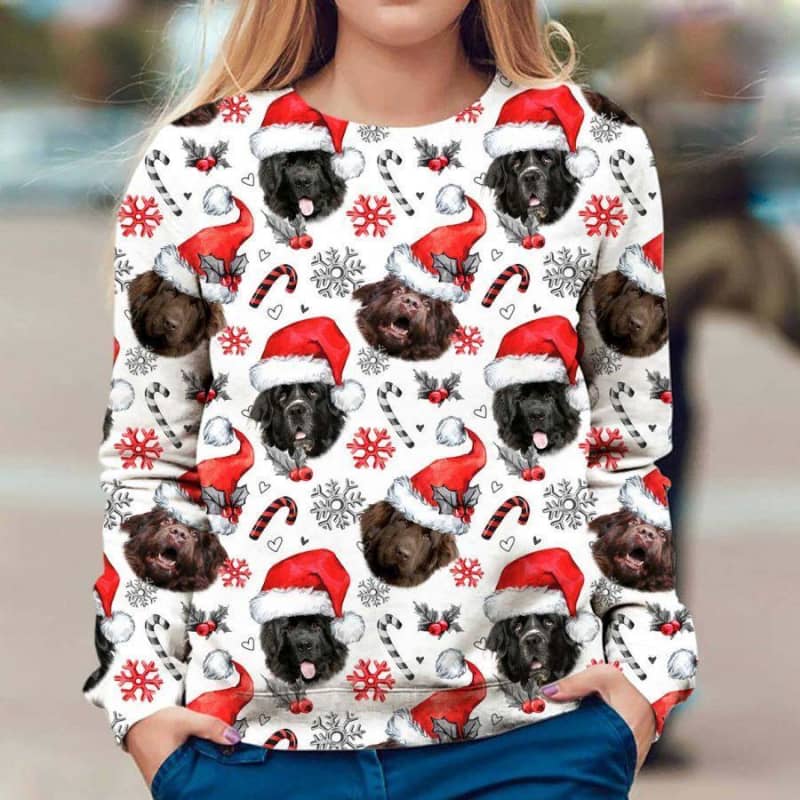 Newfoundland - Xmas Decor - Premium Sweatshirt