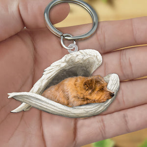 norfolk terrier1 Sleeping Angel Acrylic Keychain