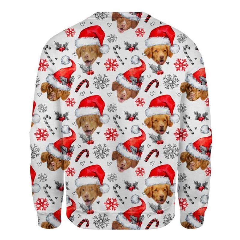 Nova Scotia Duck Tolling - Xmas Decor - Premium Sweatshirt