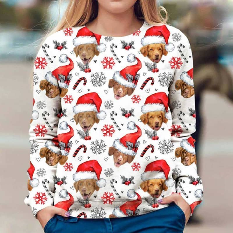 Nova Scotia Duck Tolling - Xmas Decor - Premium Sweatshirt