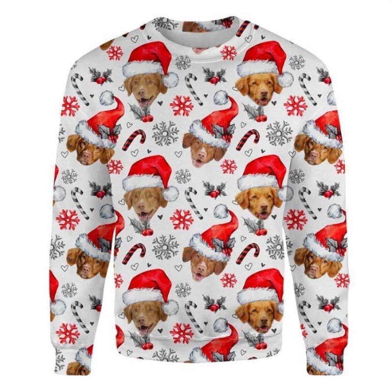 Nova Scotia Duck Tolling - Xmas Decor - Premium Sweatshirt