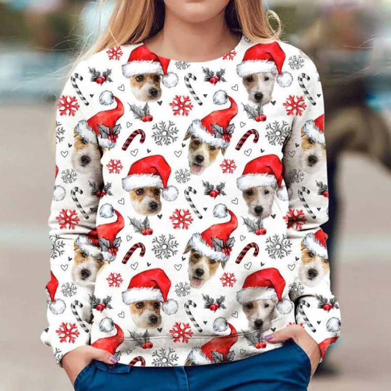 Parson Russell - Xmas Decor - Premium Sweatshirt
