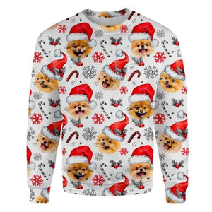 Pomeranian - Xmas Decor - Premium Sweatshirt
