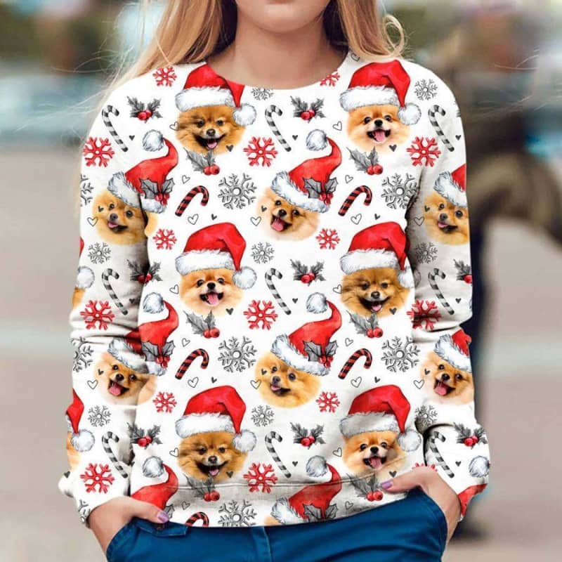 Pomeranian - Xmas Decor - Premium Sweatshirt