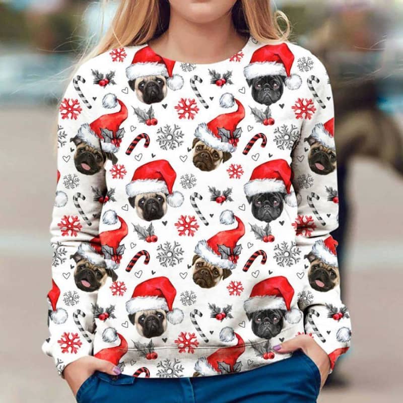 Pug - Xmas Decor - Premium Sweatshirt