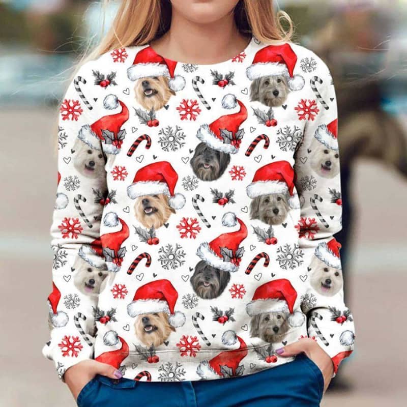 Pyrenean Shepherd - Xmas Decor - Premium Sweatshirt