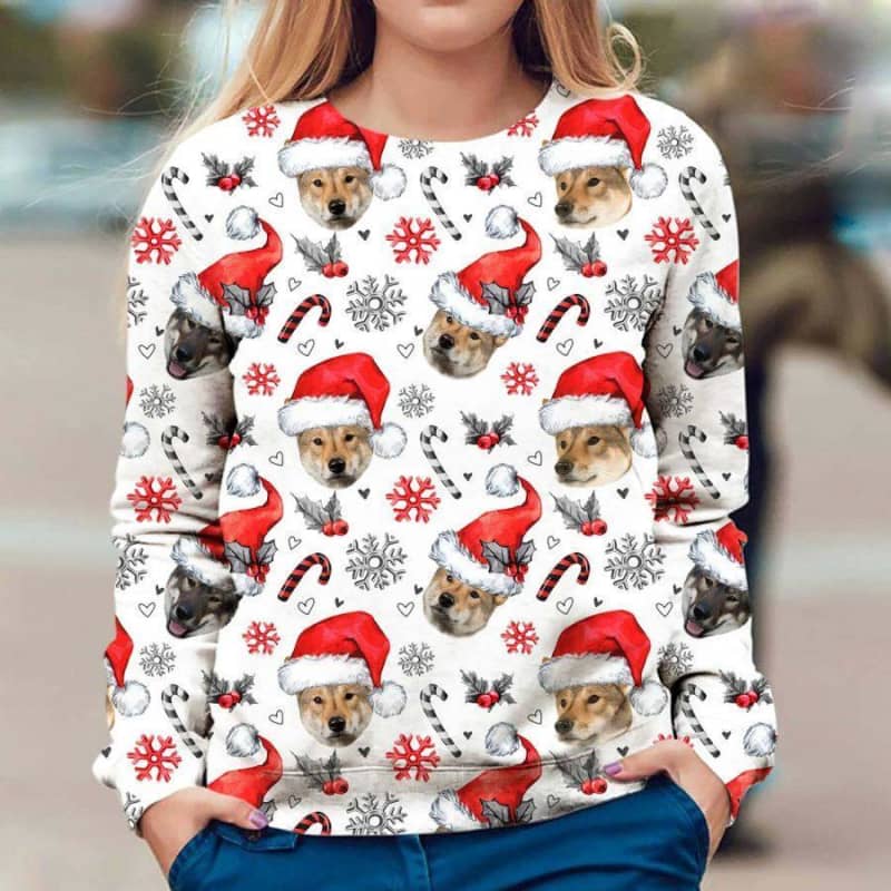 Shikoku - Xmas Decor - Premium Sweatshirt