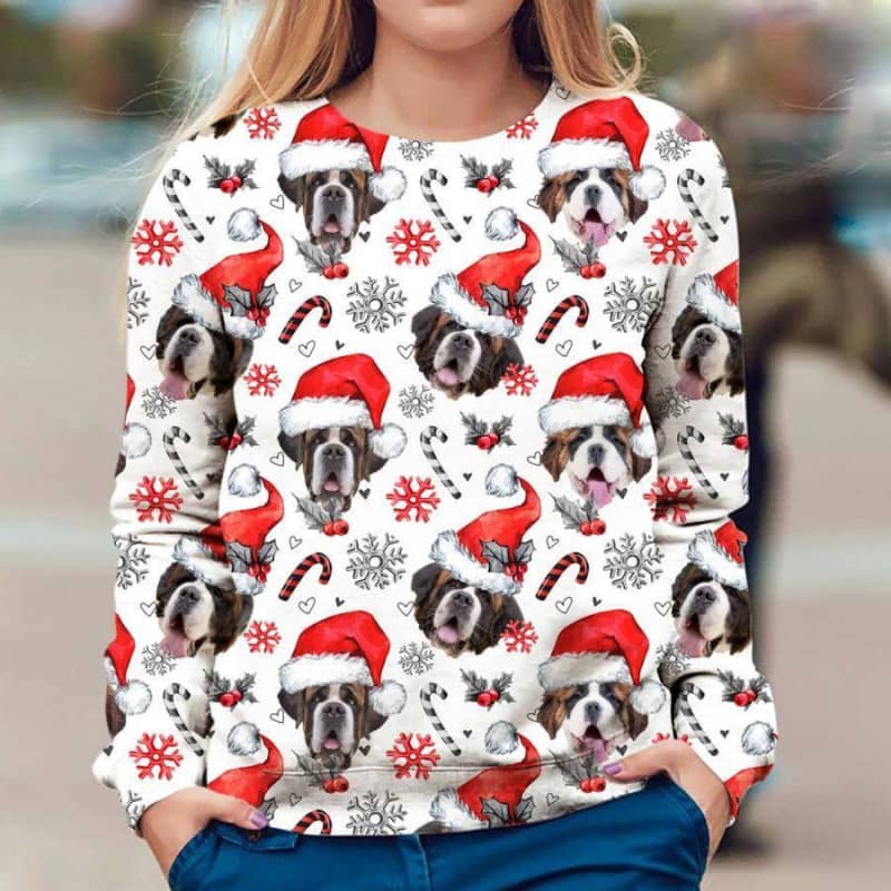 St Bernard - Xmas Decor - Premium Sweatshirt