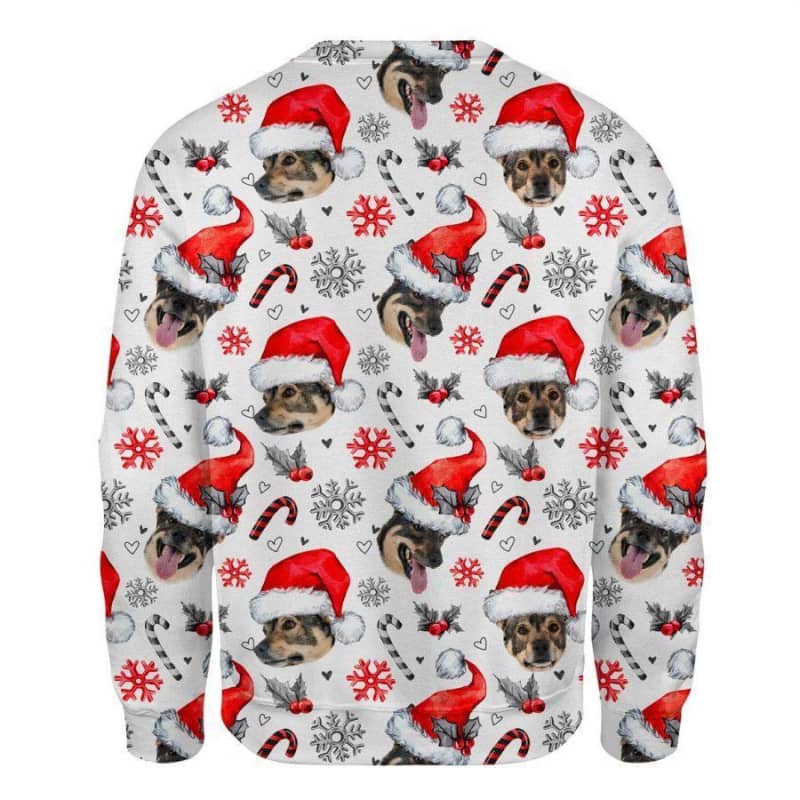 Swedish Vallhund - Xmas Decor - Premium Sweatshirt