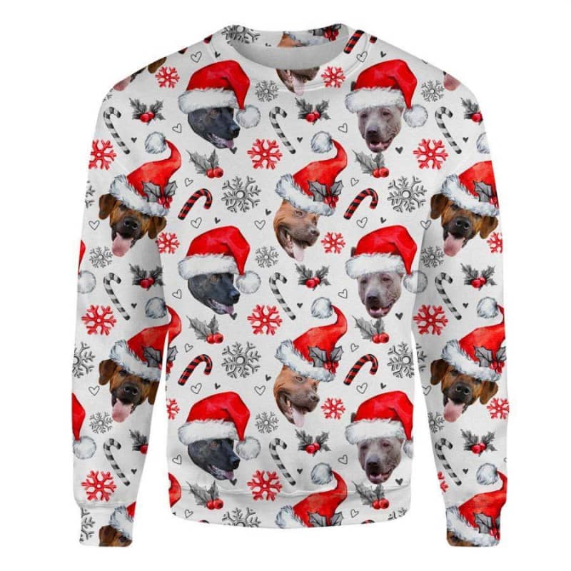 Thai Ridgeback - Xmas Decor - Premium Sweatshirt