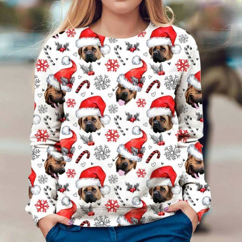 Tosa - Xmas Decor - Premium Sweatshirt