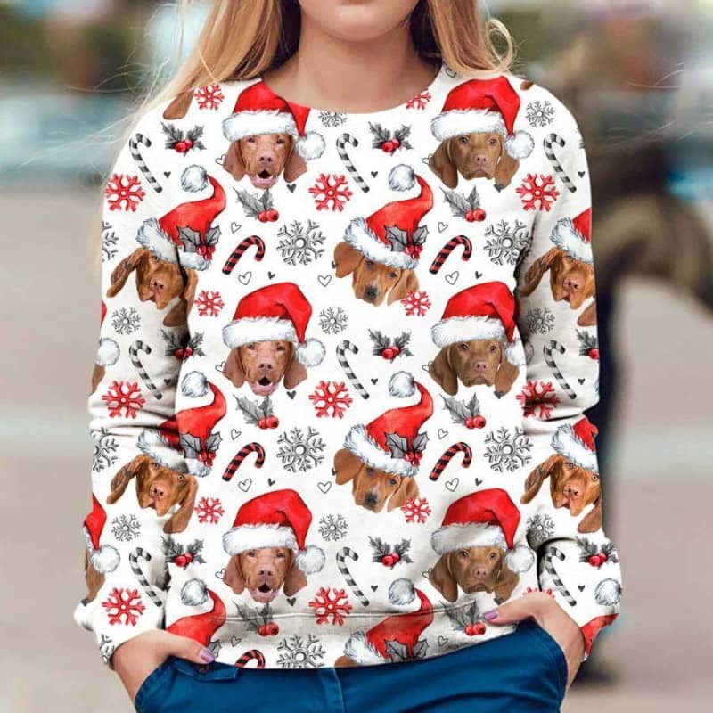 Vizsla - Xmas Decor - Premium Sweatshirt