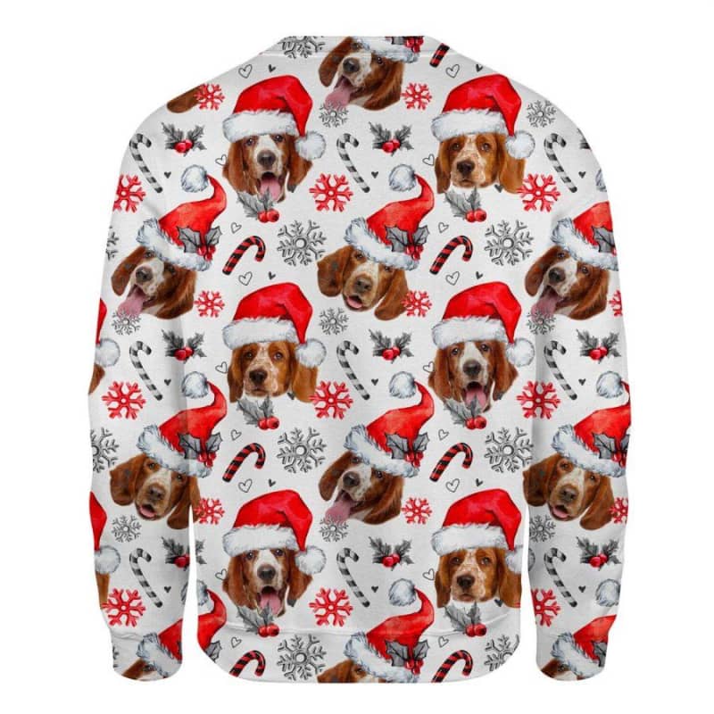 Welsh Springer Spaniel - Xmas Decor - Premium Sweatshirt